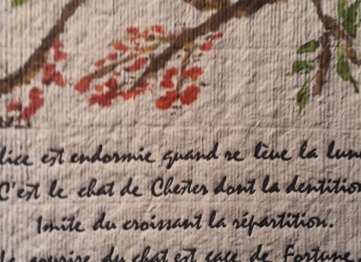 Aidez le Musée de la Typographie de Tours