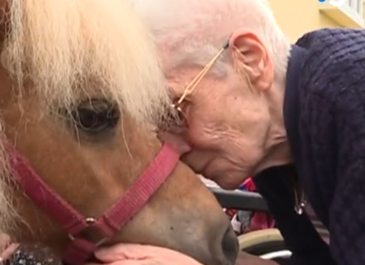 Appel à la solidarité pour l'association "Il était une fois... des hommes et des animaux"