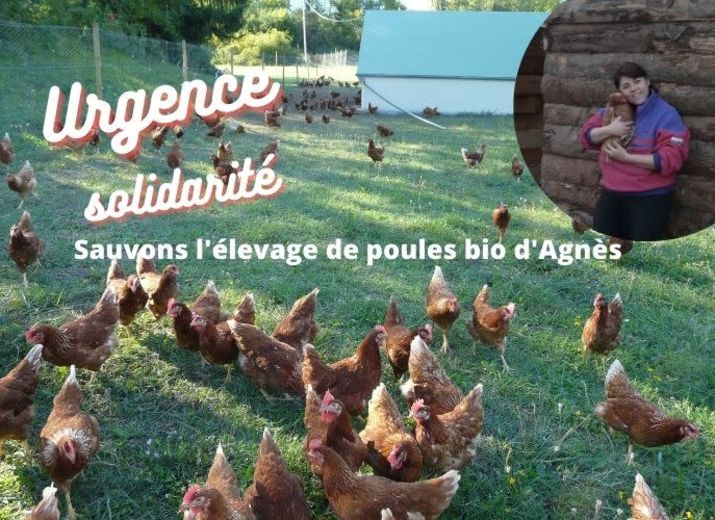 Urgence Solidarité - Sauvons l’élevage de poules bio d’Agnès!
