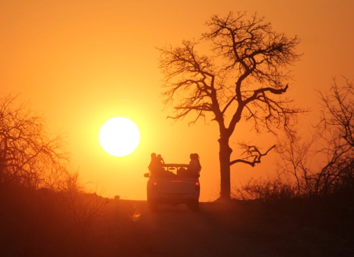 Help Save South African Wildlife and Tourism
