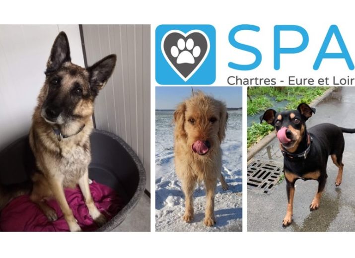 SPA de Chartres - Renouvellement de la pompe à chaleur pour le refuge