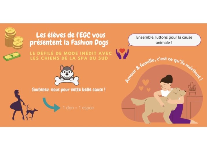 Cagnotte pour la SPA du Sud par FASHION DOGS