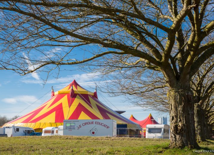 Le Cirque éducatif... Survivre jusqu'à la renaissance