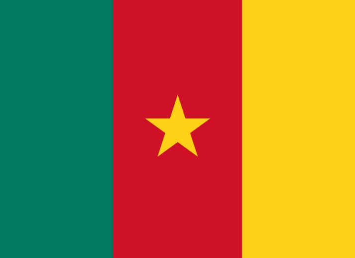 Mission humanitaire au Cameroun 2021