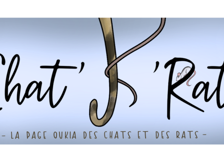 Faire un don à l'association Chat'k'Rat