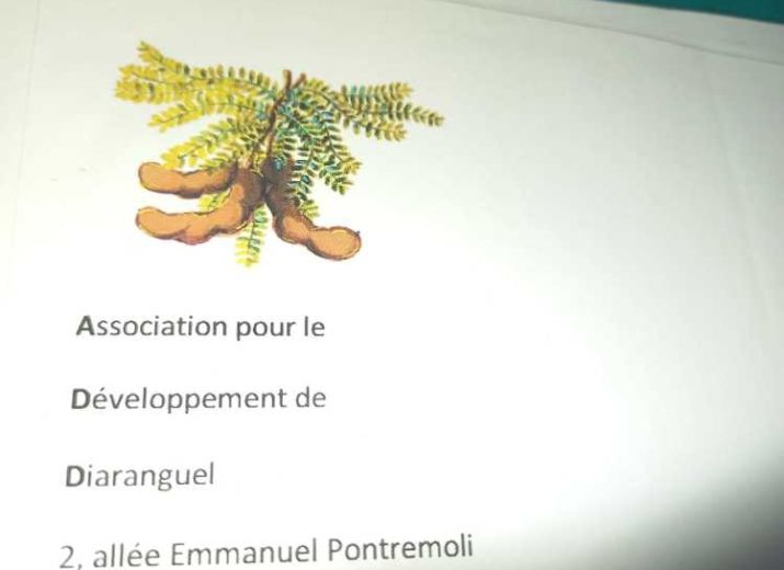 Association Développement Diaranguel en France