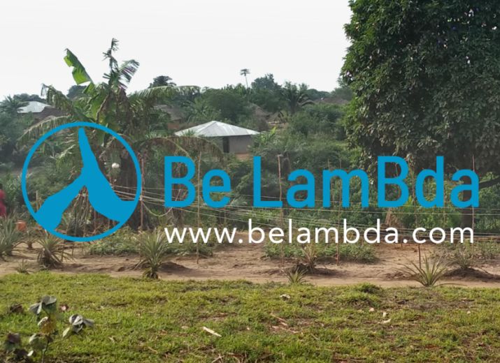 BeLamBda