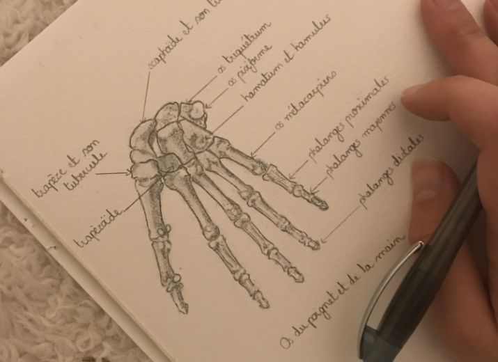 Dernière année d'étude d'ostéopathie pour Manon