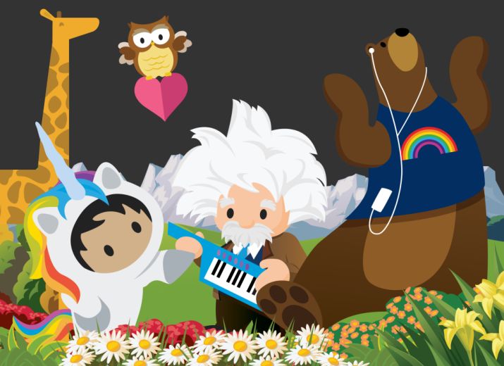 Salesforce VTO