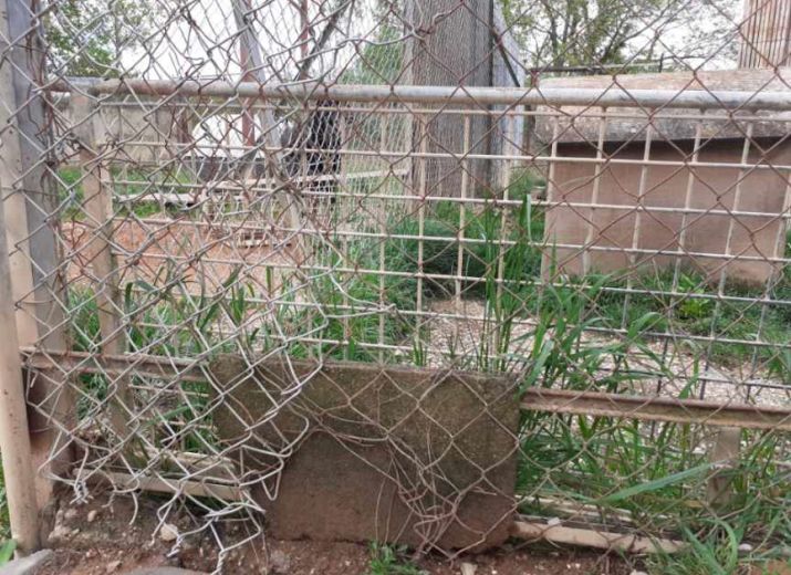 SOS POUR L'EDEN DES 4 PATTES