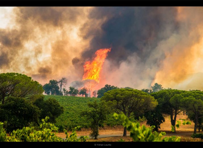 Incendie du Var : soutien aux agriculteurs sinistrés