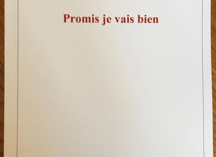 Promis je vais bien