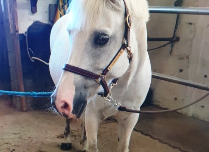 Soutien au Haras de la Vaillantière