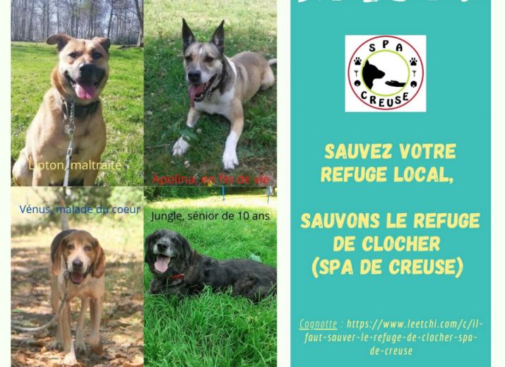 IL FAUT SAUVER LE REFUGE DE CLOCHER - SPA DE CREUSE