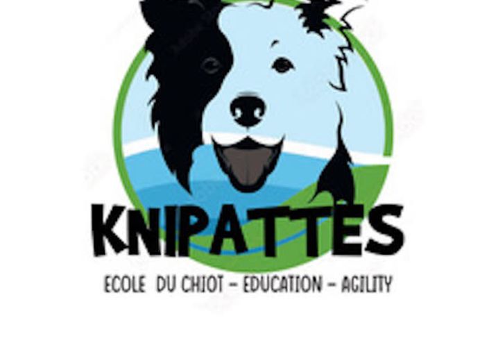 Comité de soutien à NOUBA et ses copains pour la création d'un club canin