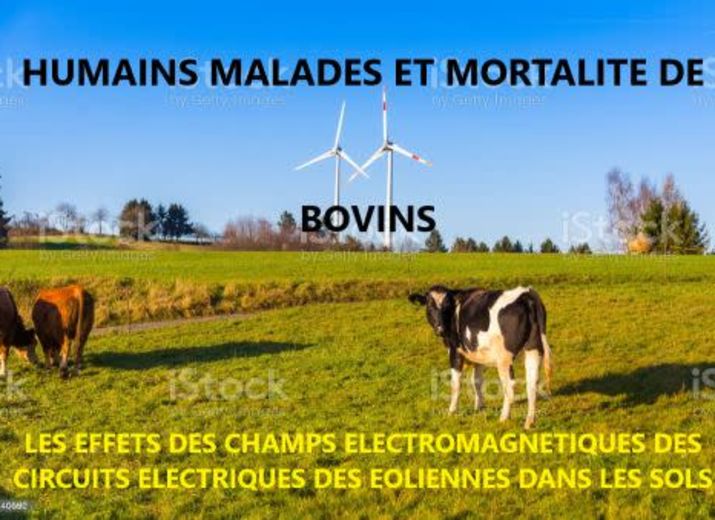 SAUVONS DES ELEVEURS AUVERGNATS