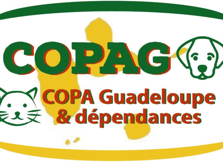 Association COPA Guadeloupe : Fonds croquettes chats