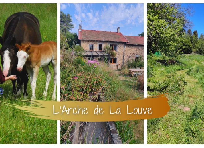 Contribuez à l'Arche de La Louve