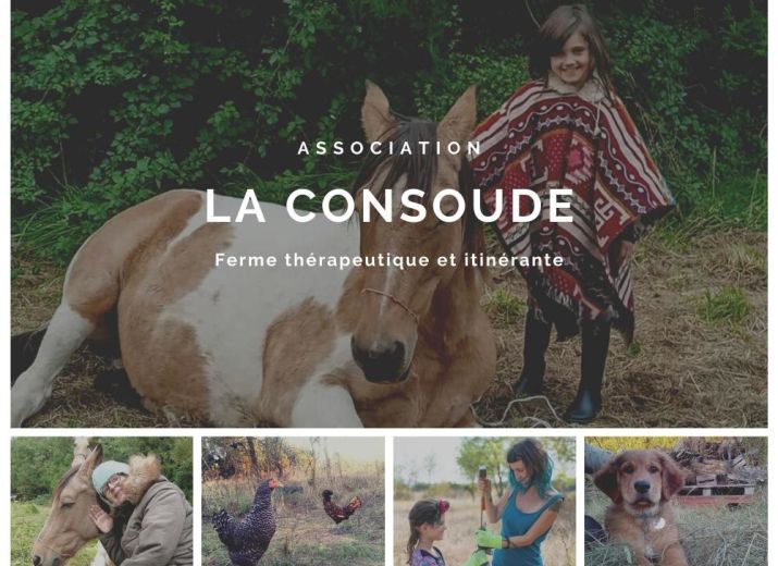 Cagnotte La Consoude, Ferme thérapeutique et itinérante