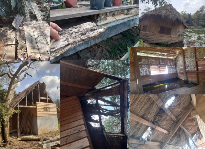 Fandee Island is not dead (yet) !
