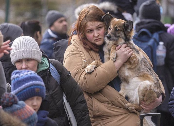 Soutenir les réfugiés Ukrainiens qui traversent les frontières avec leurs animaux