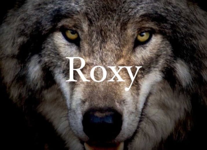 Roxy