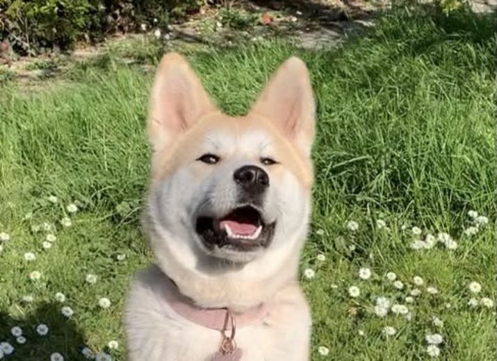 Kira