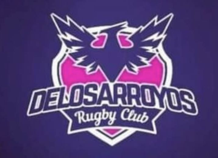 De los arroyos rugby club