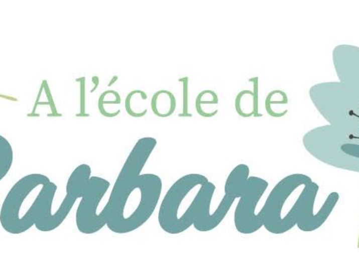 A l'école de Barbara, aide pour des outils informatiques