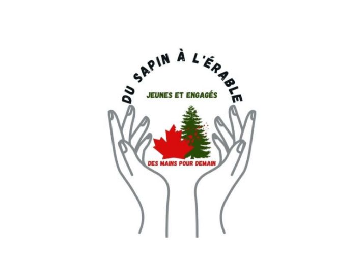 Du sapin à l'érable