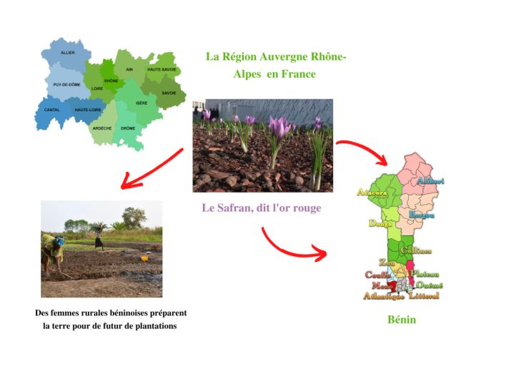 Partage de l'or rouge (safran) entre France-Bénin