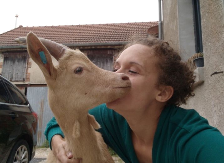 La ferme qui bele