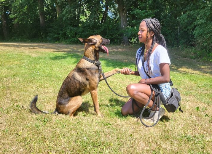 Educateur/comportementaliste canin