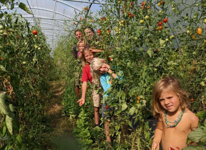 Soutenez la métamorphose du jardin d'issards