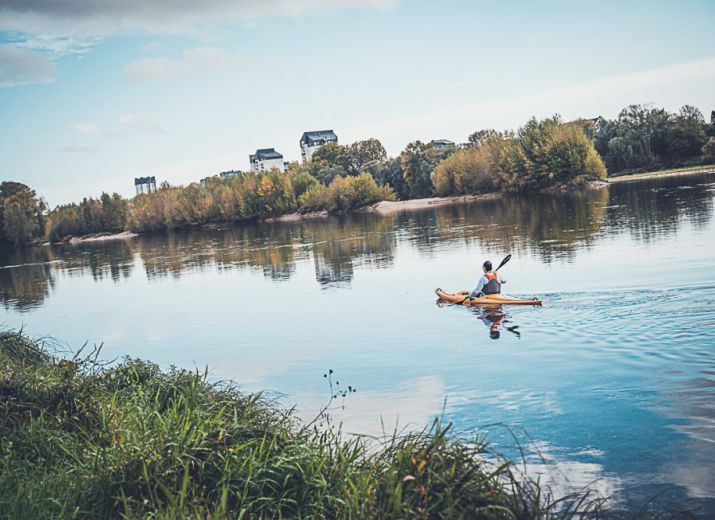 Parkinson sur Loire