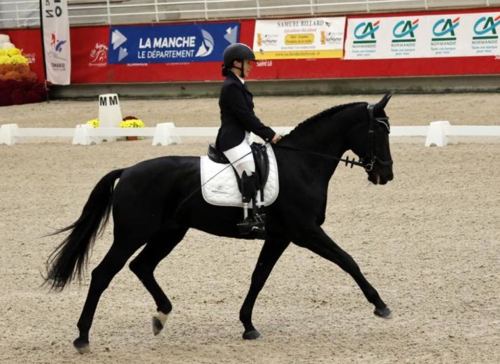 PARADRESSAGE NO LIMIT Aurélie