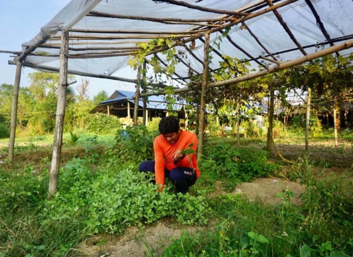 Help us develop a self-sustainable farm in Nepal