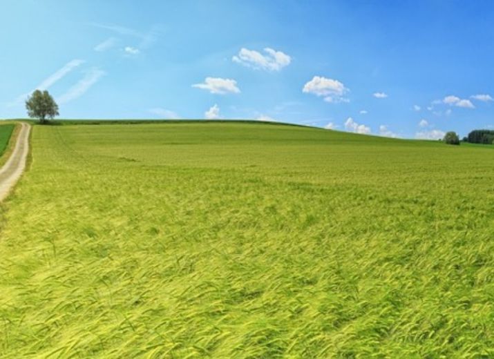 ACHAT TERRAIN 5 HECTARES POUR EHS