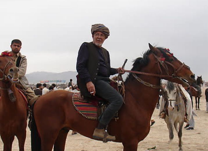 Hamed jan Safi