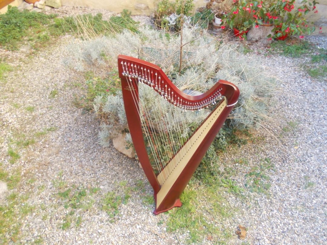 Cagnotte merci d avance de soutenir le festival des journée de la