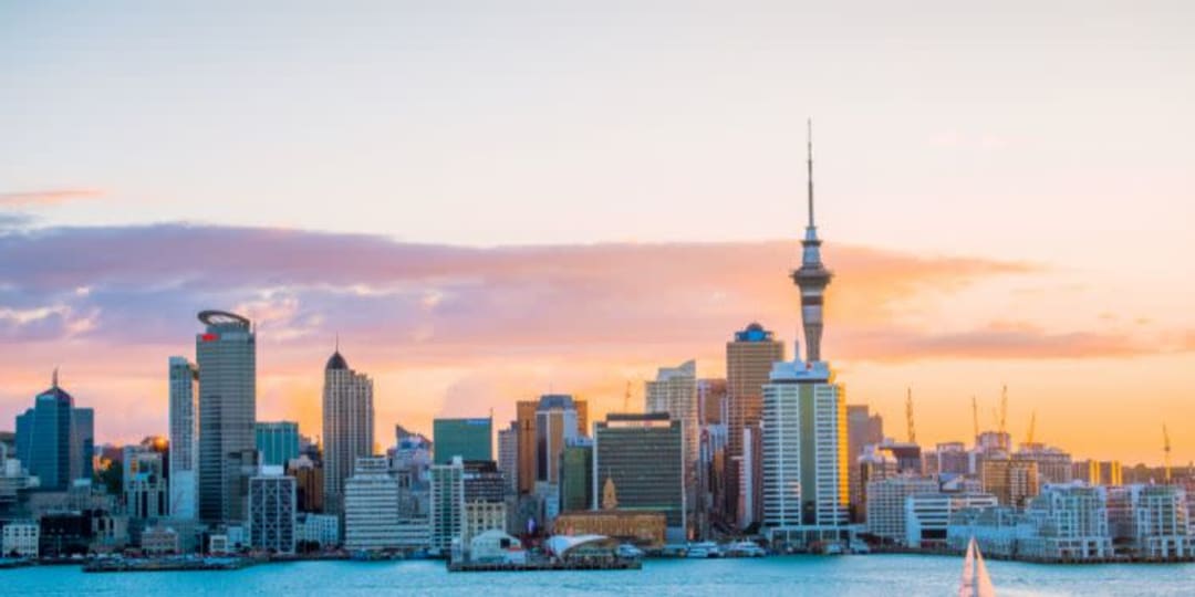 Cagnotte Partir vivre en NouvelleZélande