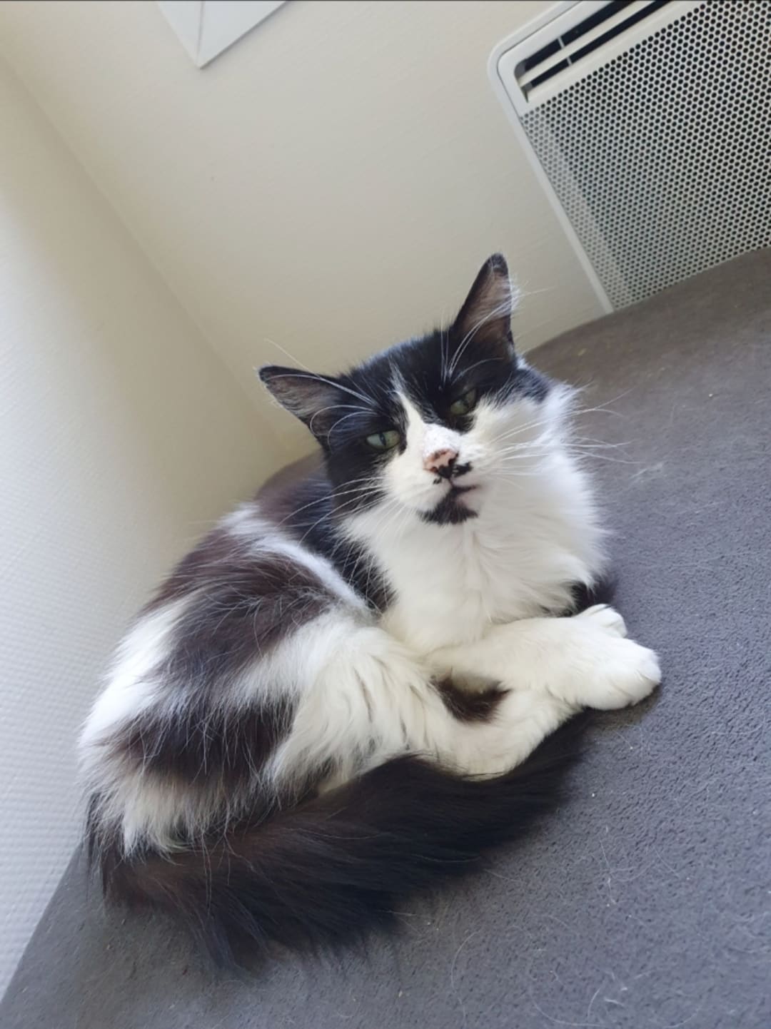 Cagnotte Opération tumeur mammaire Leetchi