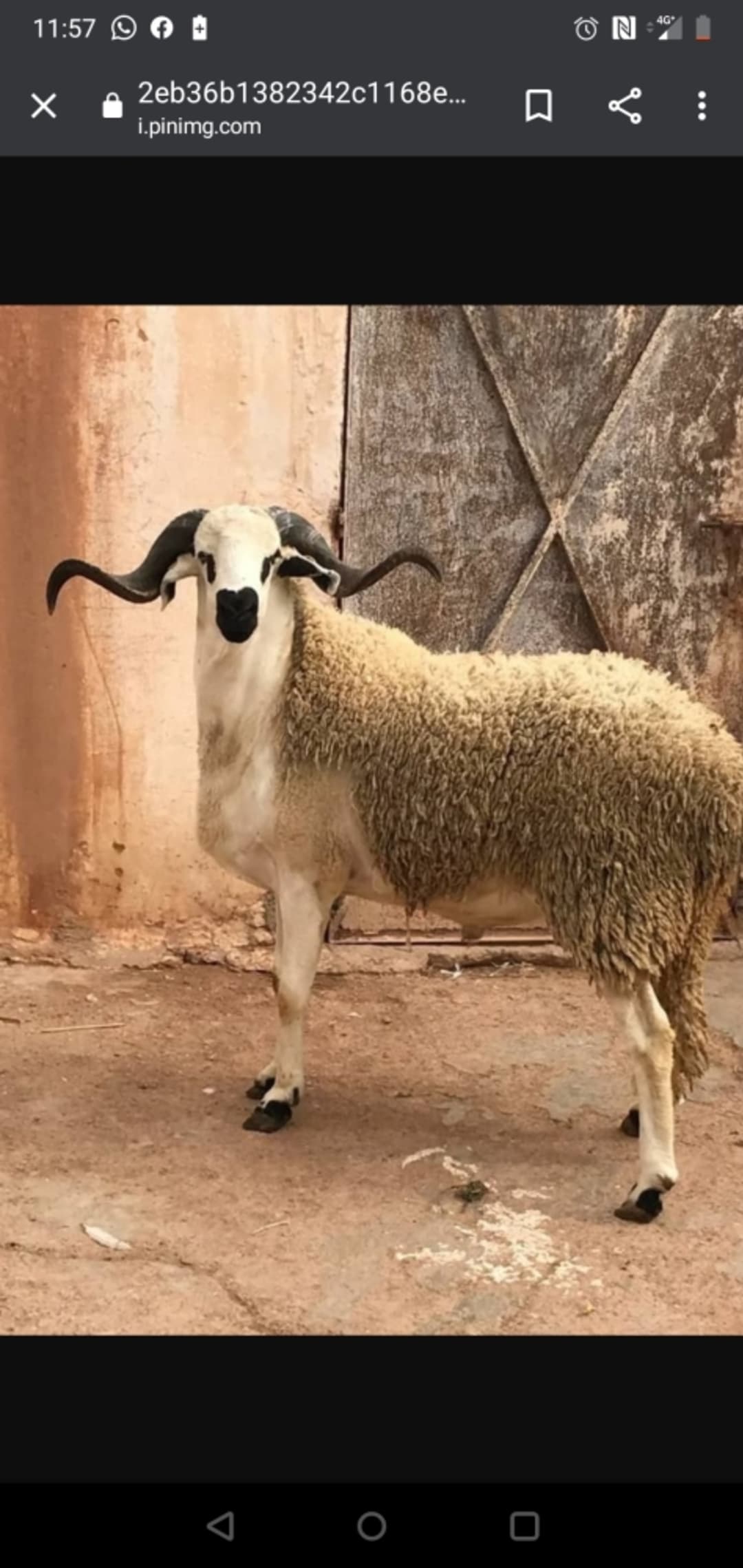Cagnotte Tous pour aider les pauvres au Maroc pour 3id Al adha suite à la situation sanitaire Cagnotte Tous pour aider les pauvres au Maroc pour 3id Al adha suite à la situation sanitaire