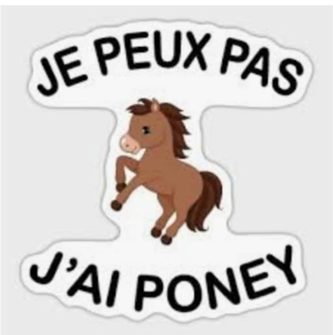 Brillant Améliorant Pour Toilettage De Cheval Ou Poney - Pot De 1 - NEUF