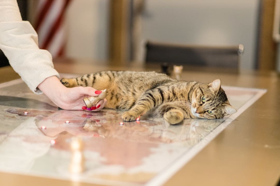 Cagnotte Le Triangle Escape game Soutient Association