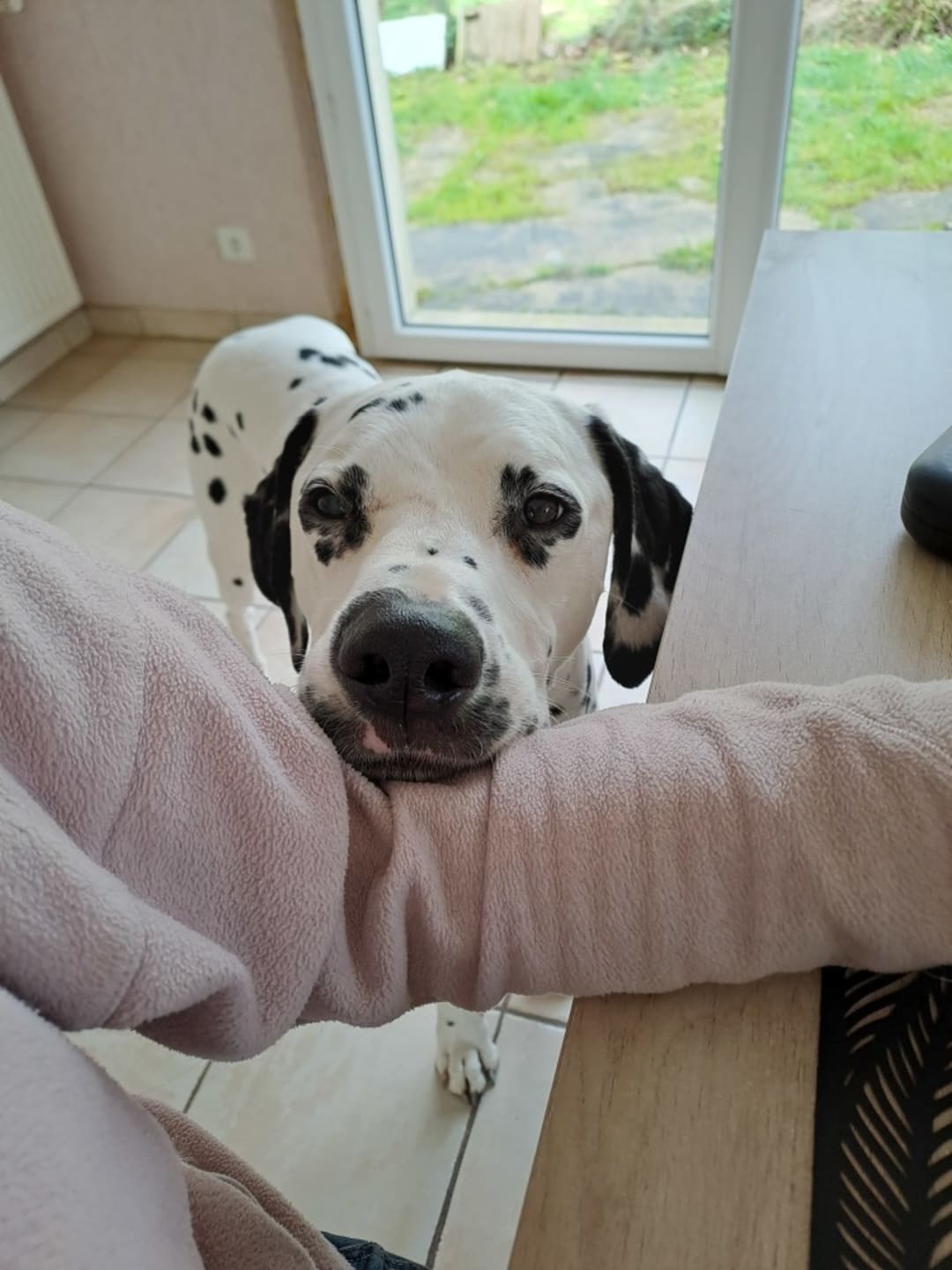 Cagnotte : Opération Nougat - Leetchi.com