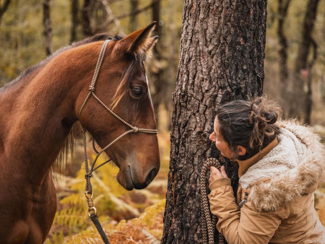 Cagnotte : Une histoire de cheval et d'humain. | Leetchi