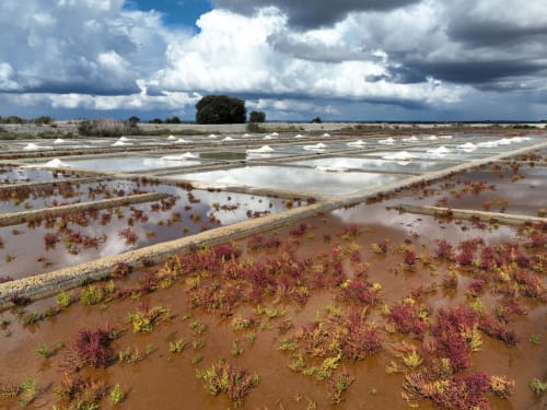 Soutenir la remise en état de la Saline de Sarzeau