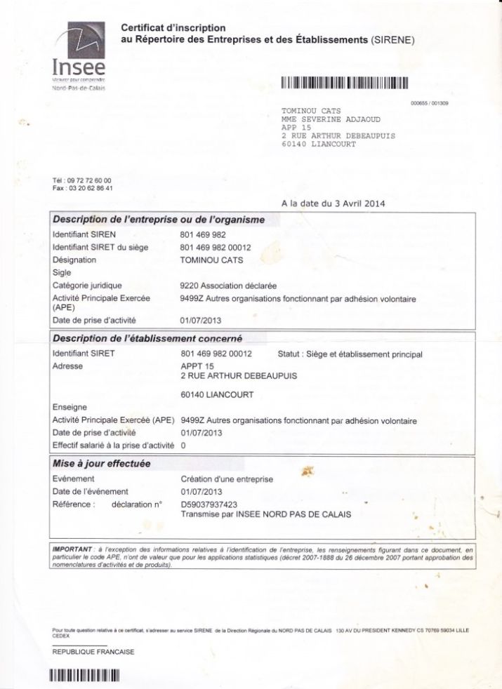 Cagnotte Sauvetage De L Asso Tominou Cat Leetchi Com