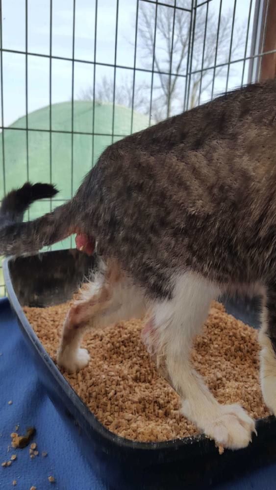 Cagnotte Victor Une Operation Vitale Pour Lui Leetchi Com Cagnotte Victor Une Operation Vitale Pour Lui Leetchi Com